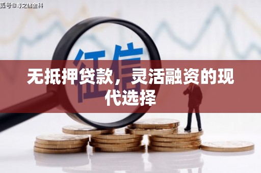 泾阳无抵押贷款，灵活融资的现代选择