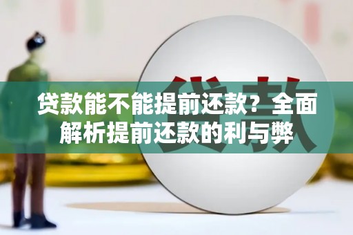 泾阳贷款能不能提前还款？全面解析提前还款的利与弊