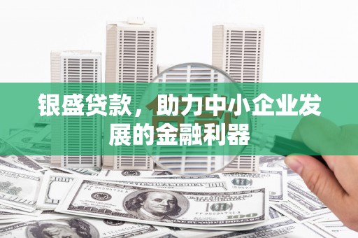 泾阳银盛贷款，助力中小企业发展的金融利器