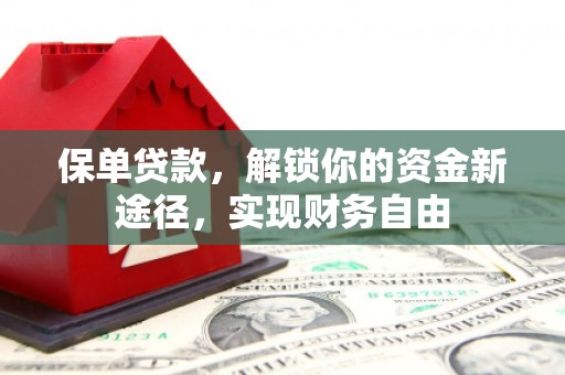 泾阳保单贷款，解锁你的资金新途径，实现财务自由