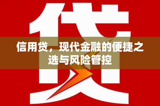 泾阳信用贷，现代金融的便捷之选与风险管控