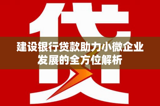 泾阳建设银行贷款助力小微企业发展的全方位解析
