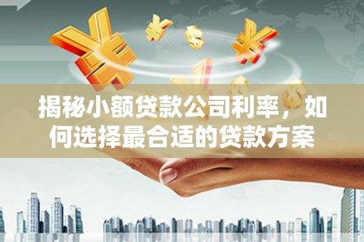 泾阳揭秘小额贷款公司利率，如何选择最合适的贷款方案