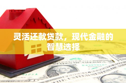 泾阳灵活还款贷款，现代金融的智慧选择