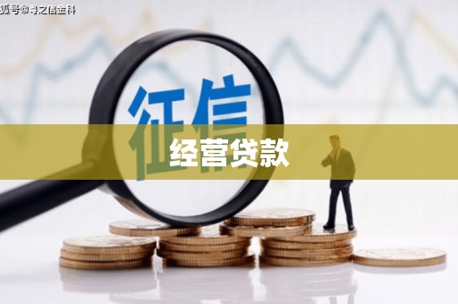 泾阳经营贷款