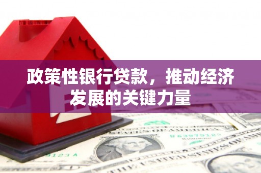 泾阳政策性银行贷款，推动经济发展的关键力量