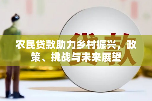 泾阳农民贷款助力乡村振兴，政策、挑战与未来展望