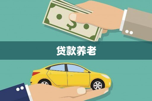 泾阳贷款养老