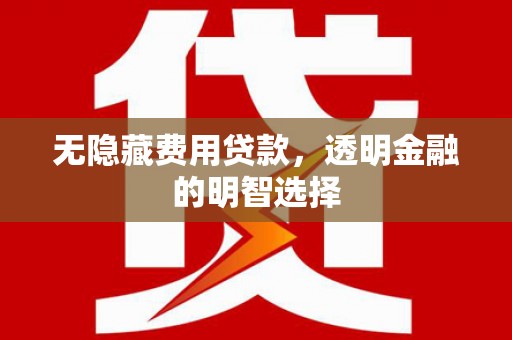 泾阳无隐藏费用贷款，透明金融的明智选择