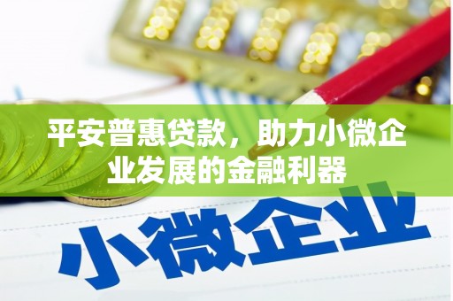 泾阳平安普惠贷款，助力小微企业发展的金融利器