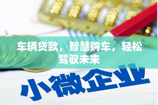 泾阳车辆贷款，智慧购车，轻松驾驭未来