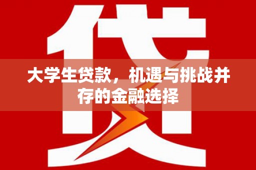 泾阳大学生贷款，机遇与挑战并存的金融选择