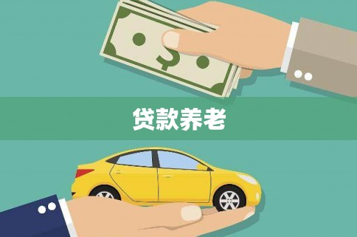 泾阳贷款养老