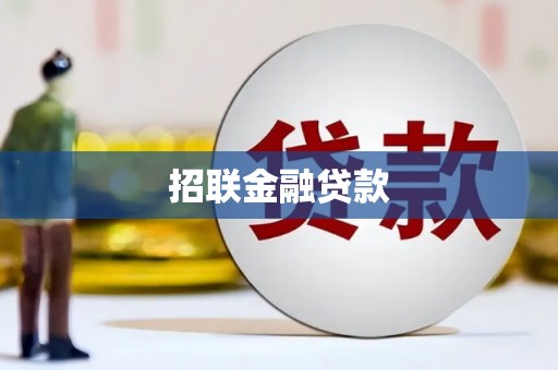 泾阳招联金融贷款