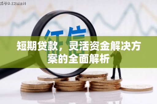 泾阳短期贷款，灵活资金解决方案的全面解析