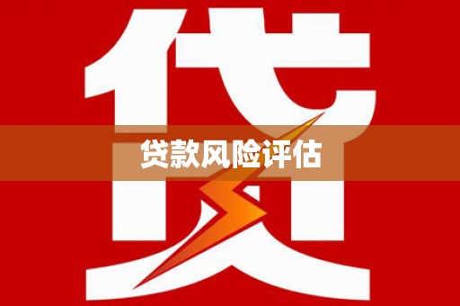 泾阳贷款风险评估
