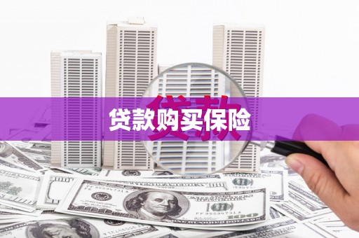 泾阳贷款购买保险