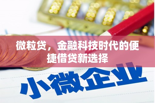 泾阳微粒贷，金融科技时代的便捷借贷新选择