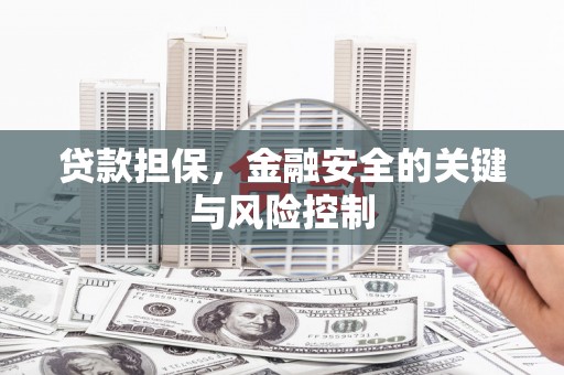 泾阳贷款担保，金融安全的关键与风险控制