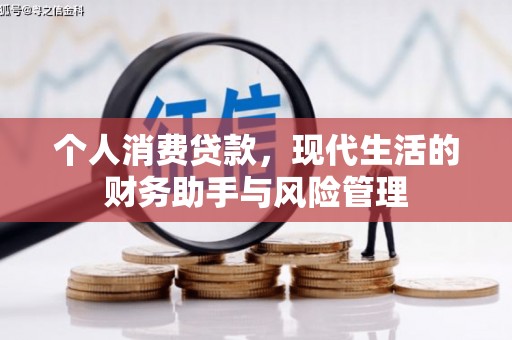 泾阳个人消费贷款，现代生活的财务助手与风险管理