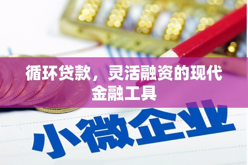 泾阳循环贷款，灵活融资的现代金融工具