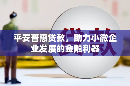 泾阳平安普惠贷款，助力小微企业发展的金融利器