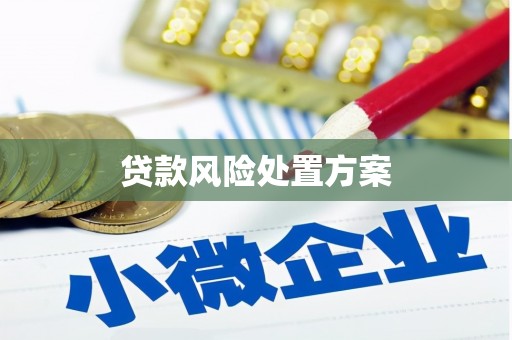 泾阳贷款风险处置方案