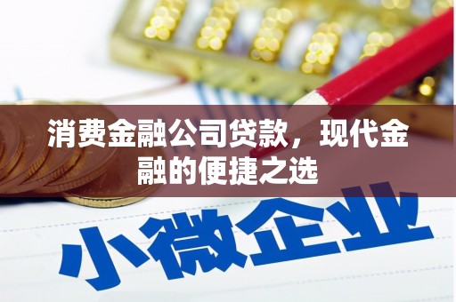 泾阳消费金融公司贷款，现代金融的便捷之选