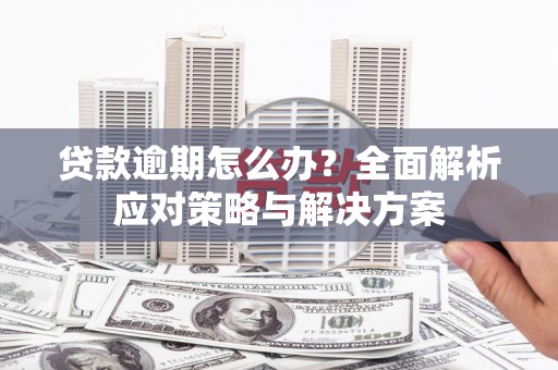 泾阳贷款逾期怎么办？全面解析应对策略与解决方案
