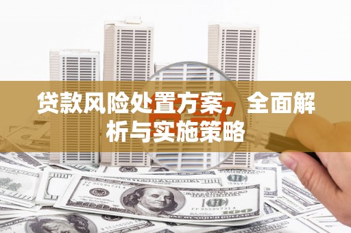 泾阳贷款风险处置方案，全面解析与实施策略