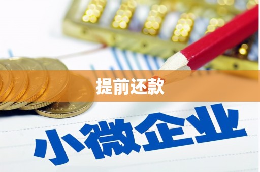 泾阳提前还款