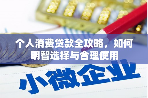 泾阳个人消费贷款全攻略，如何明智选择与合理使用